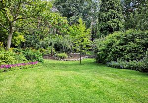Optimiser l'expérience du jardin à Bourgtheroulde-Infreville